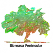 biomasa
